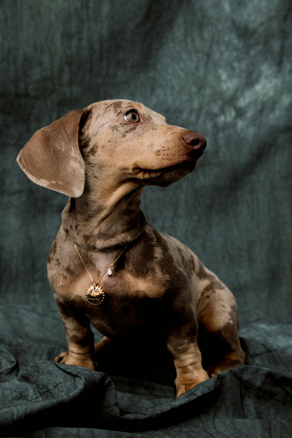 Lumi Necklace