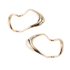 Mallu Sculpt Earrings