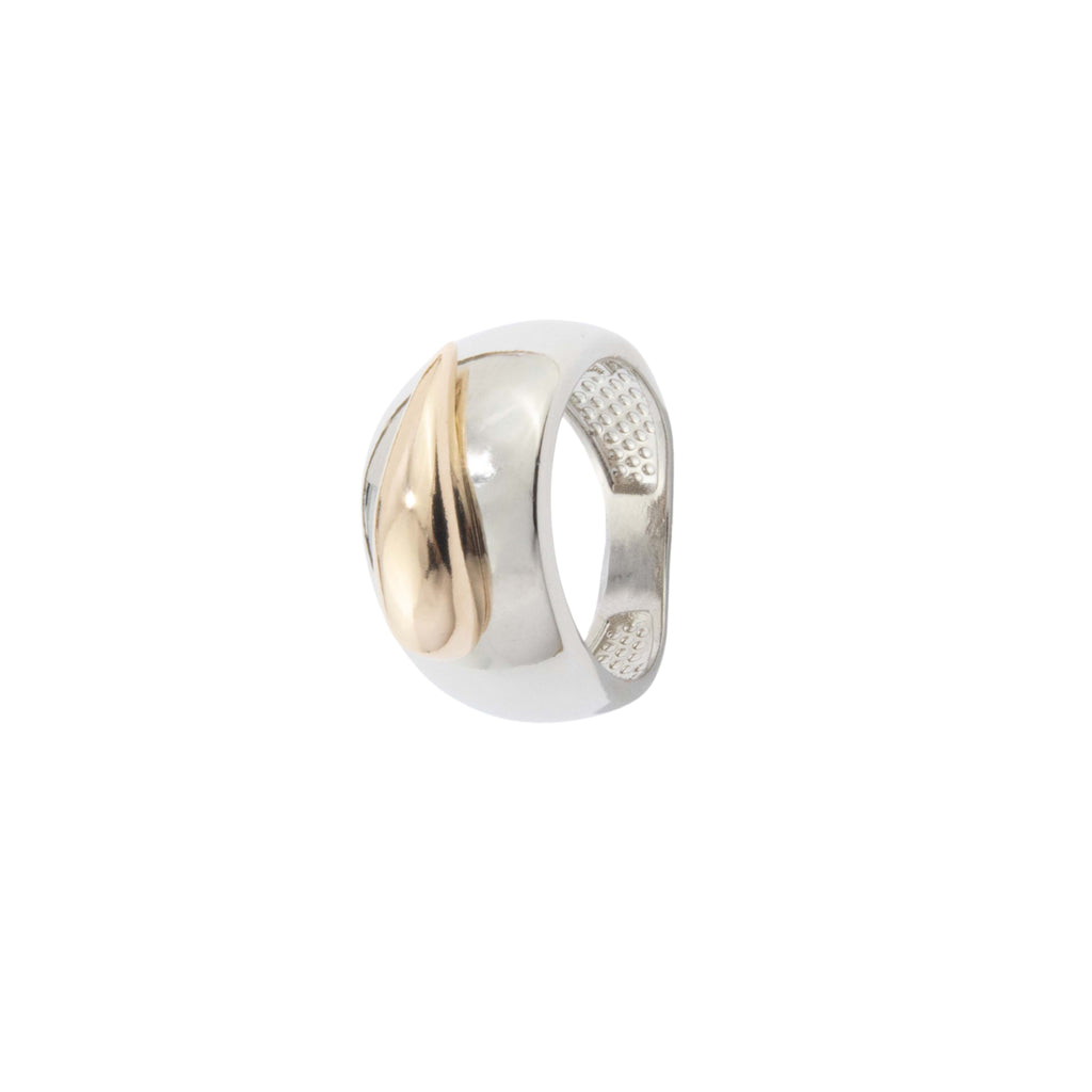 Urban Ring